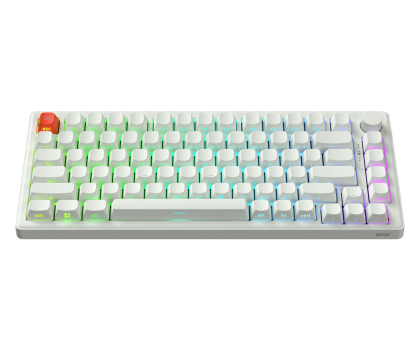 Klawiatura SMX Kishu Honey Switch Lumos white SMXG050